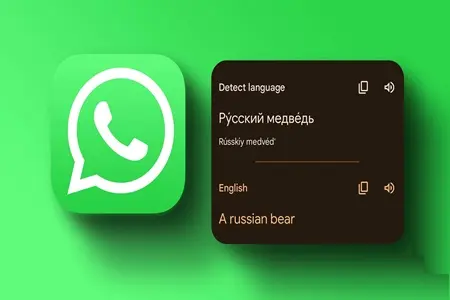 Beginilah Panduan Untuk Menerjemahkan Obrolan WhatsApp Dengan Cepat Dan Mudah